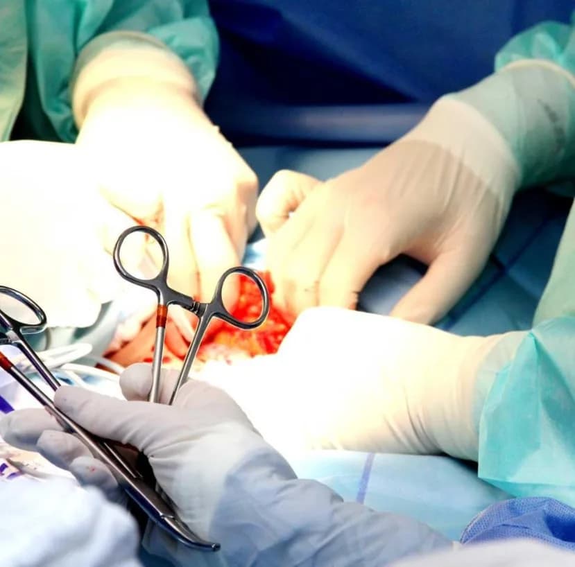 Kağıthane Veteriner Kliniği