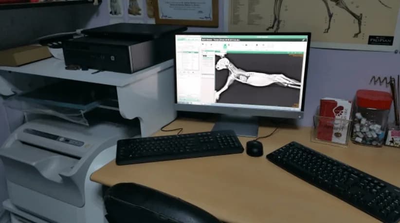 Pet Dünyası Veteriner Kliniği