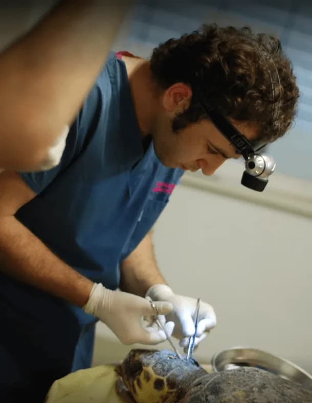 Medicus Veritas Veteriner Kliniği