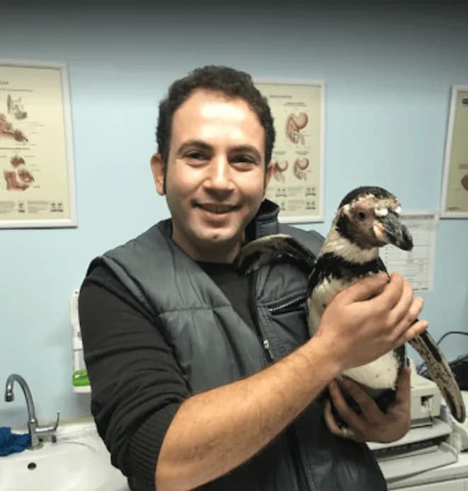 Medicus Veritas Veteriner Kliniği