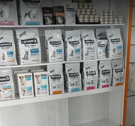 Medicus Veritas Veteriner Kliniği
