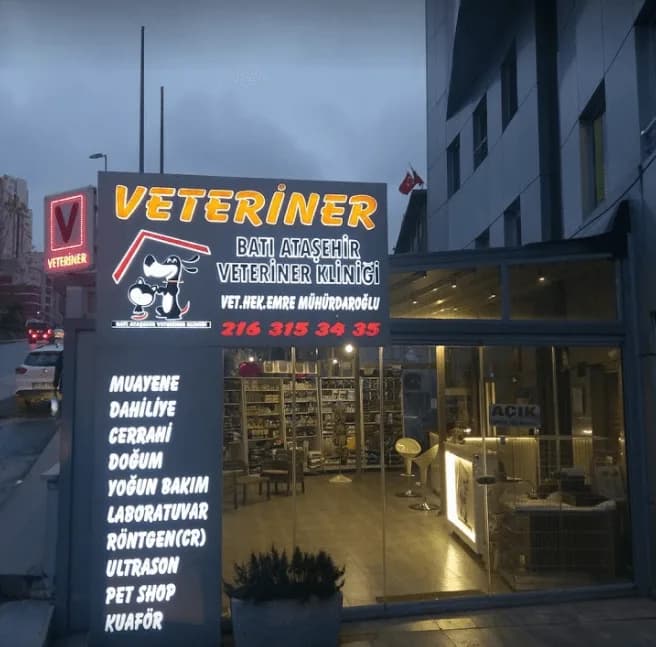 Batı Ataşehir Veteriner Kliniği