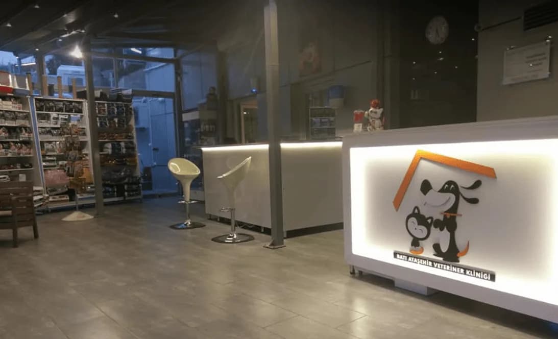 Batı Ataşehir Veteriner Kliniği