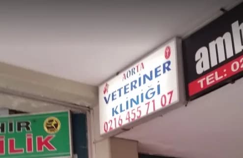 Aorta Veteriner Kliniği