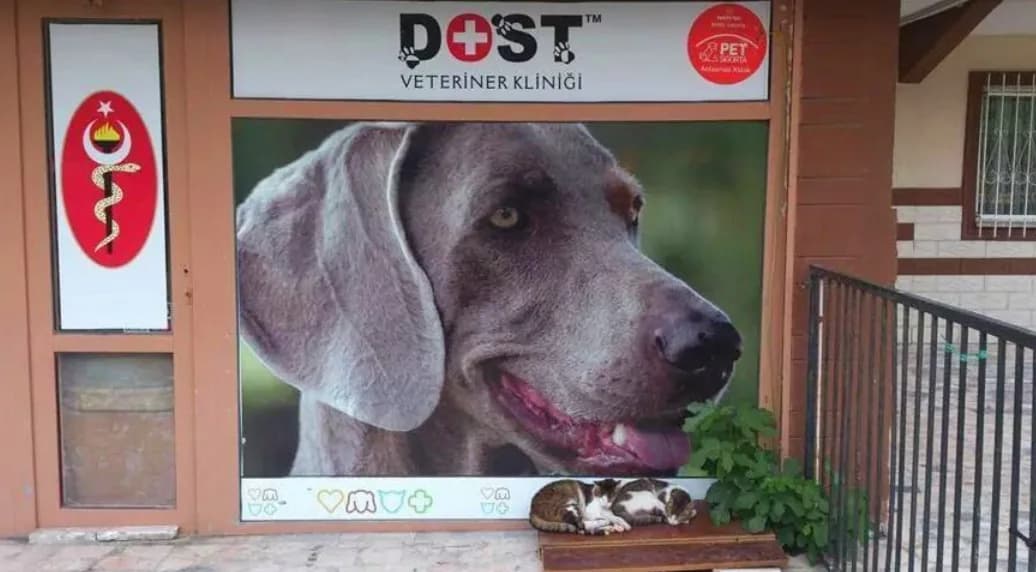 Dost Veteriner Kliniği