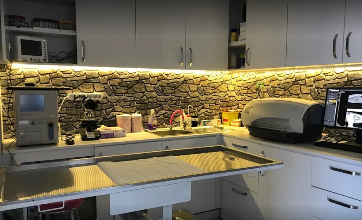 Vital Veteriner Kliniği