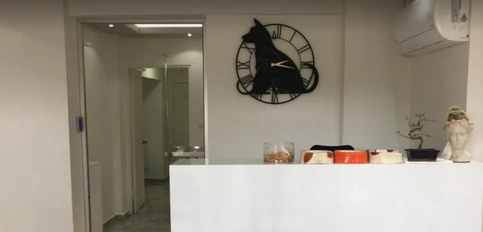 Petlife Veteriner Kliniği
