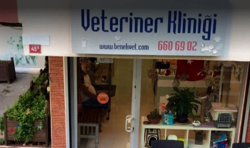 Benek Veteriner Kliniği