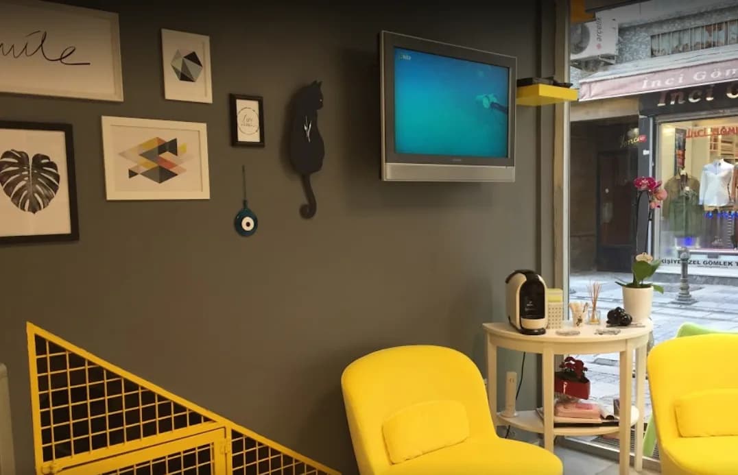 CITYPET Veteriner Kliniği