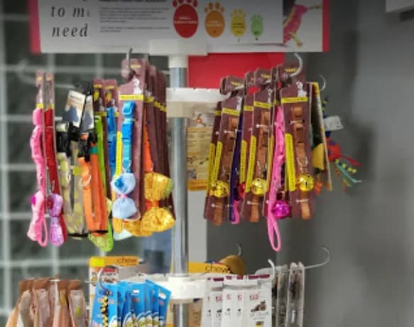 CITYPET Veteriner Kliniği