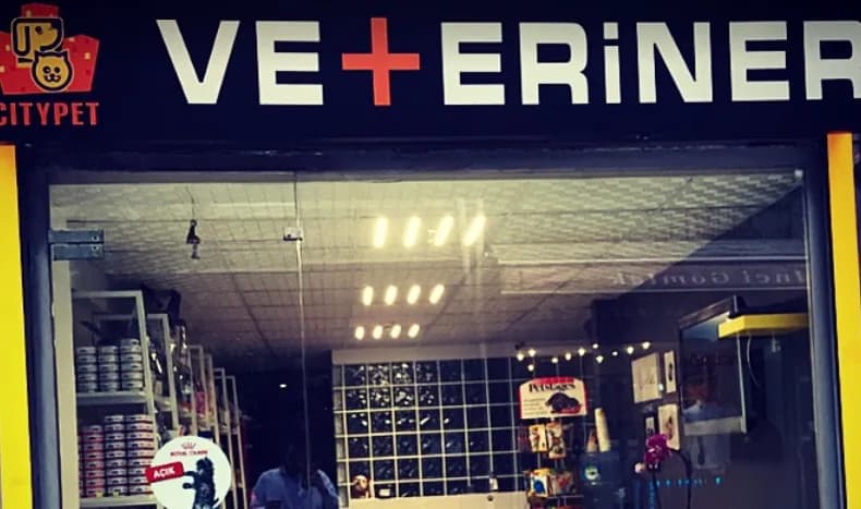 CITYPET Veteriner Kliniği