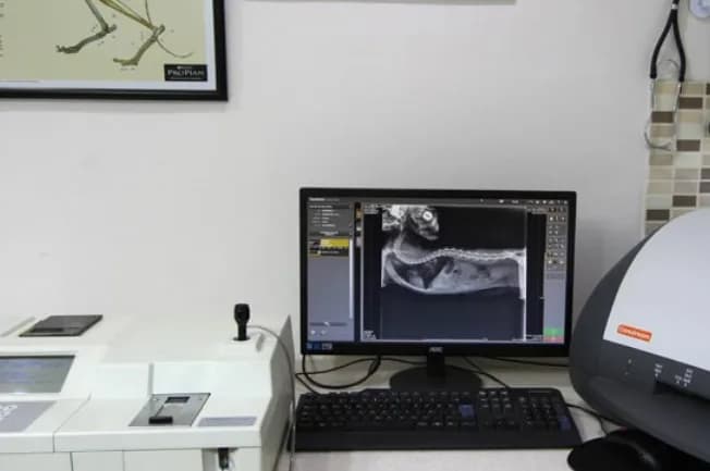 Myvet Veteriner Kliniği