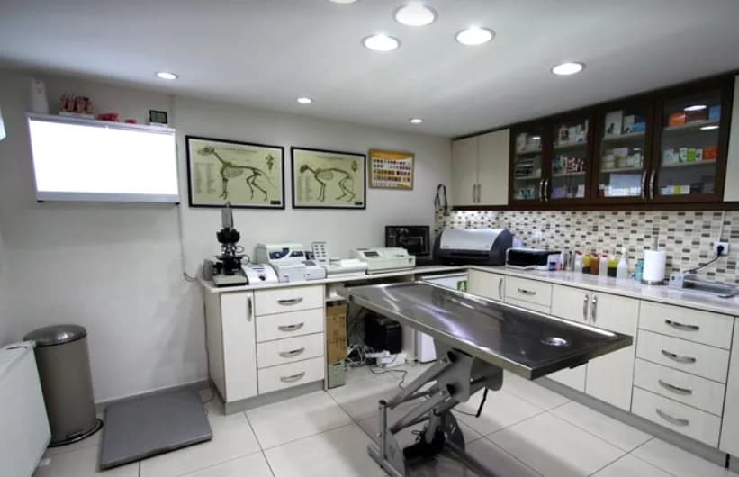 Myvet Veteriner Kliniği