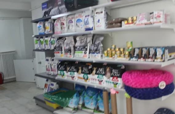 Vet Health Veteriner Kliniği