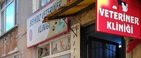 Beykoz Veteriner Kliniği