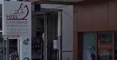 Hiss Veteriner Kliniği
