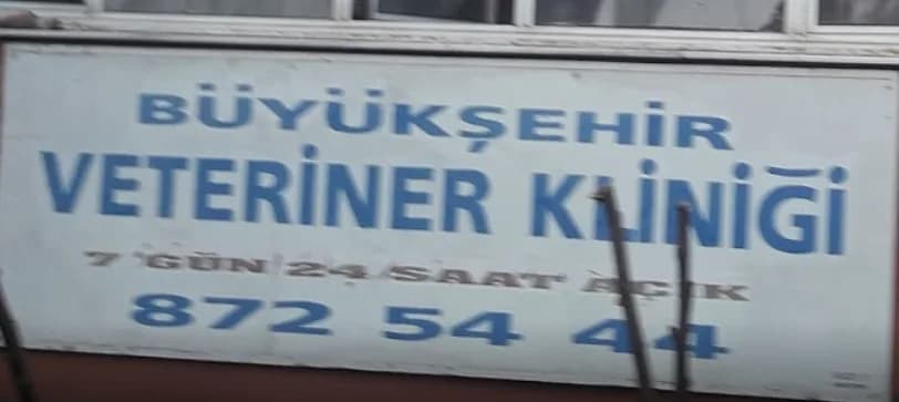 Büyükşehir Veteriner Kliniği
