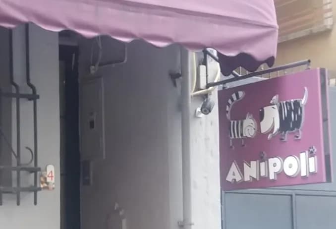 Anipoli Veteriner Kliniği