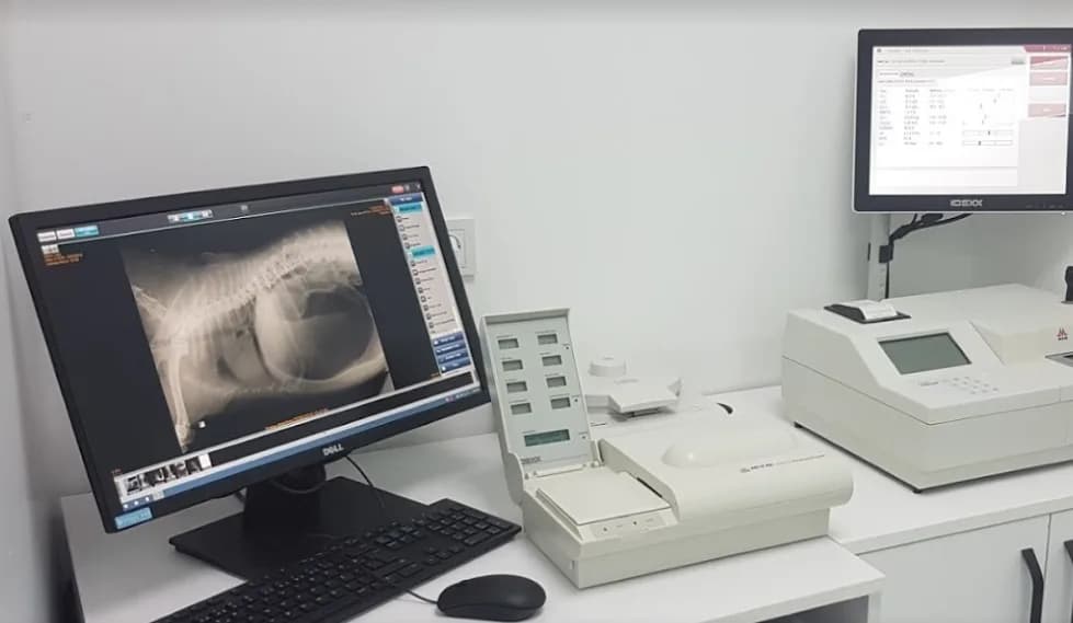 Çekmeköy Veteriner Kliniği
