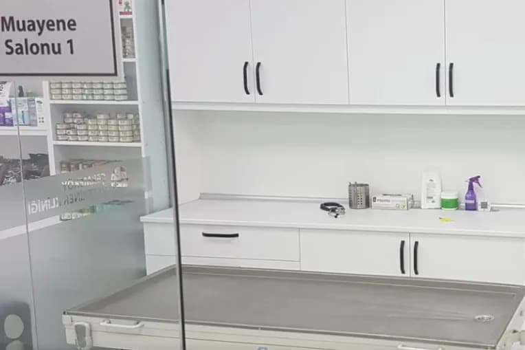 Çekmeköy Veteriner Kliniği