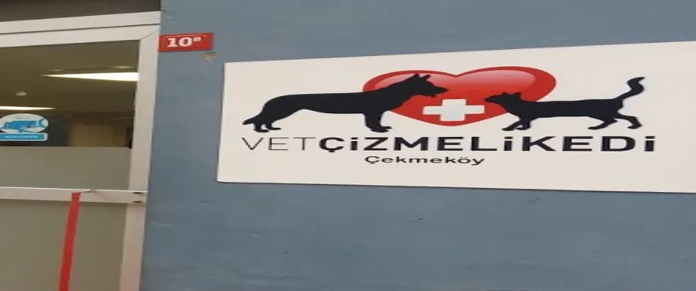 Vet Çizmeli Kedi Çekmeköy