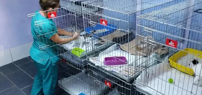 VET CHECK VETERİNER KLİNİĞİ