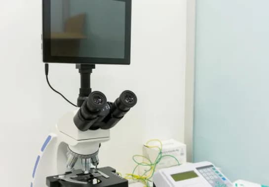 Fatih Veteriner Kliniği