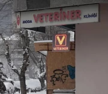 Moda veteriner kliniği