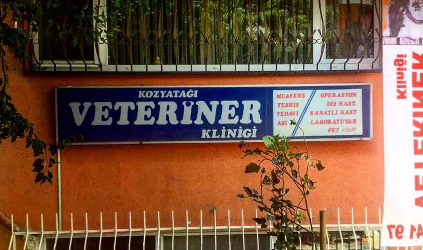 Kozyatağı Veteriner Kliniği