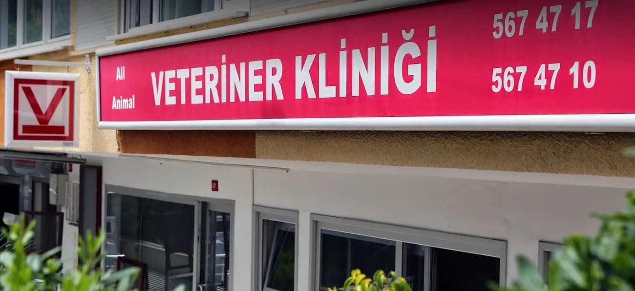 All Animal Veteriner Kliniği