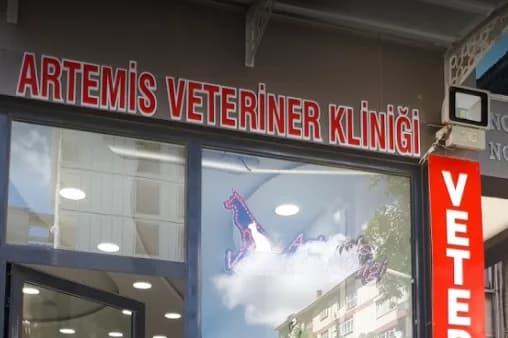 Artemis Veteriner Kliniği