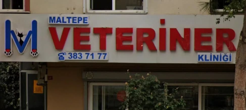 Maltepe Veteriner Kliniği
