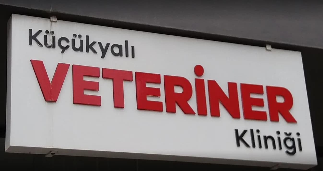 Küçükyalı Veteriner Kliniği
