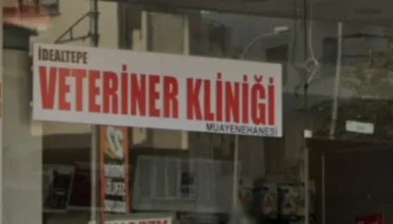 İdealtepe Veteriner Kliniği