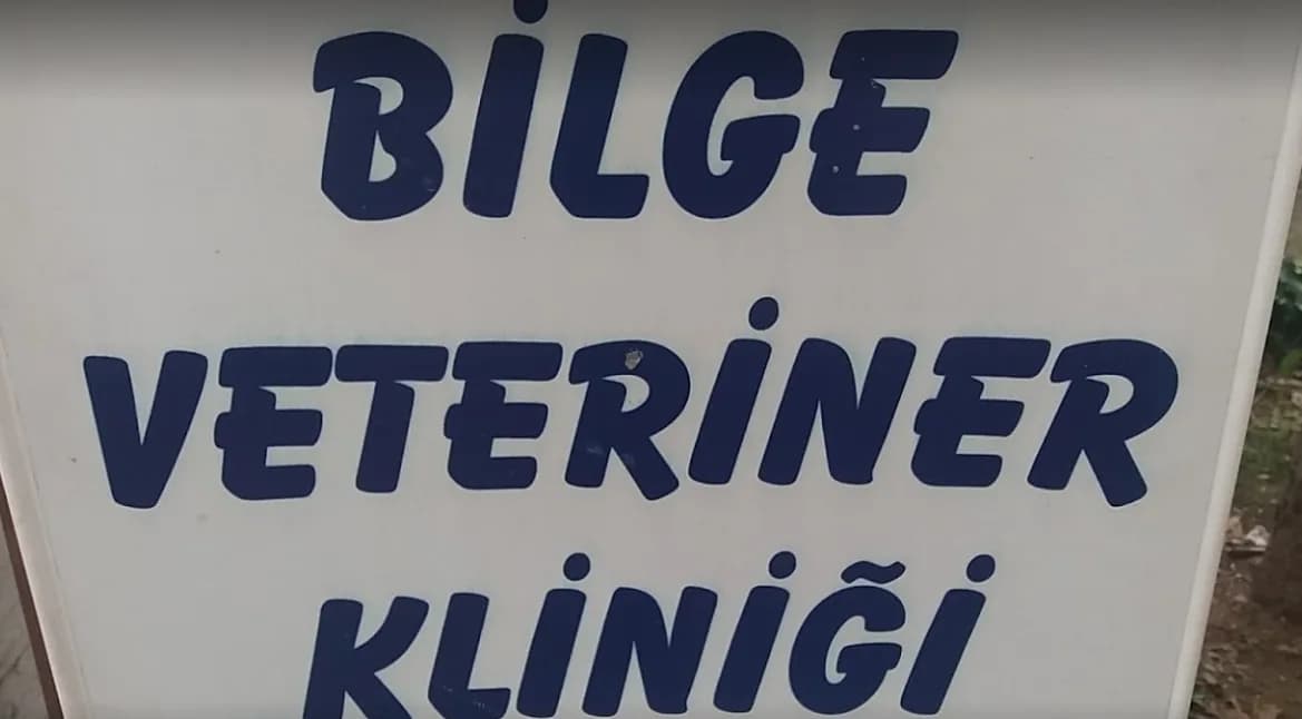 Bilge Veteriner Kliniği