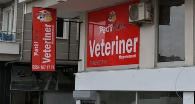 Patilihane veteriner kliniği
