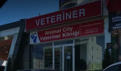 Animal City Veteriner Kliniği