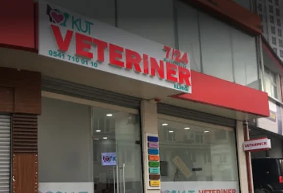 Kut Veteriner Kliniği