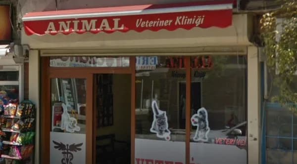 Animal Veteriner Kliniği