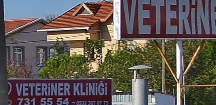Vet Dr Veteriner Kliniği