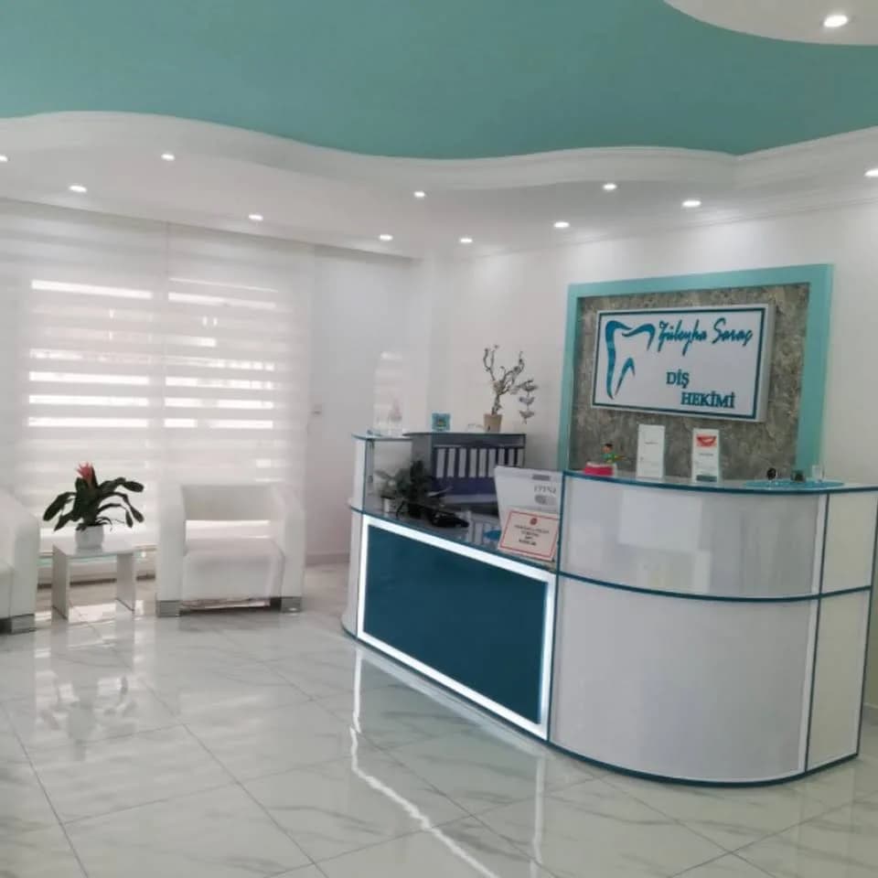 giriş