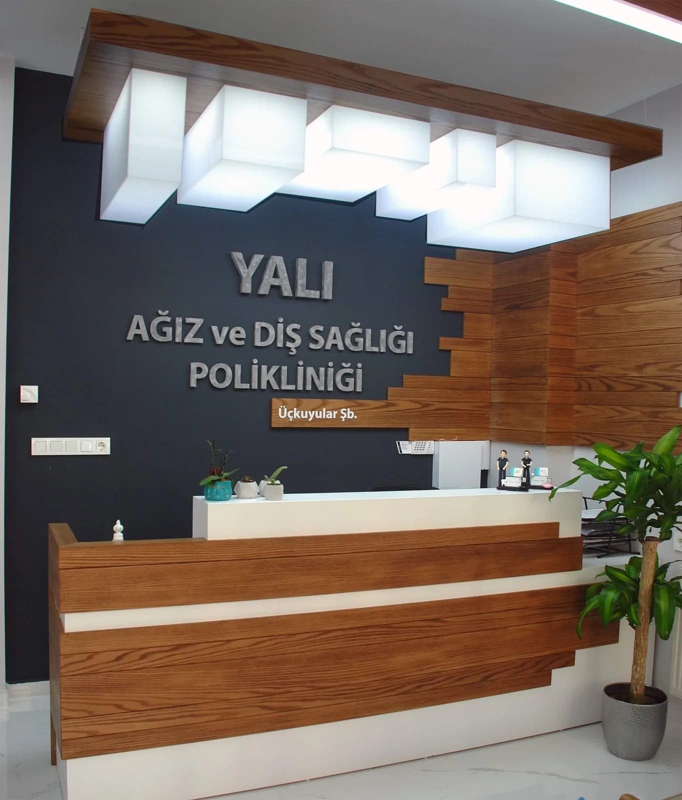 giriş
